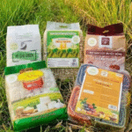 Bắc Giang: Xuất khẩu mỳ sang nhiều thị trường mới