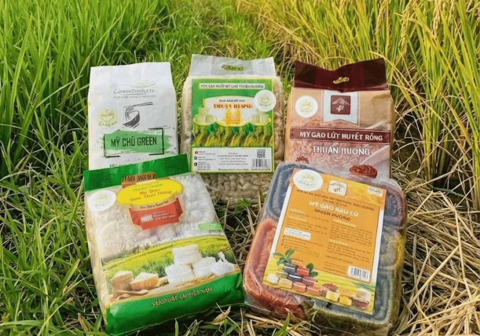 Bắc Giang: Xuất khẩu mỳ sang nhiều thị trường mới